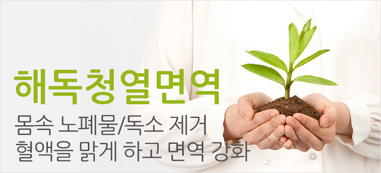 해독청열면역요법
